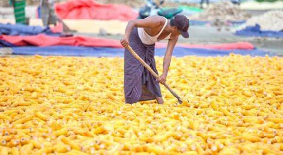 Screenshot 2023-03-24 105712