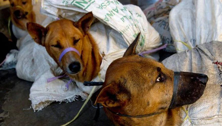 photo_2024-01-08_12-59-12