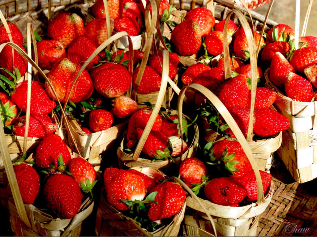 Strawberry Products