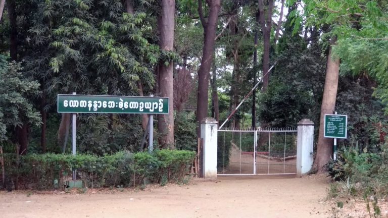 photo_2024-03-31_19-28-53