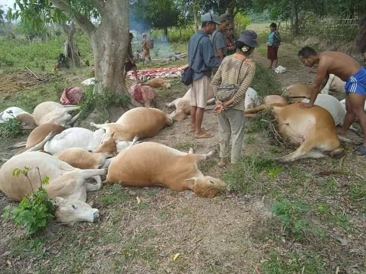 photo_2024-05-04_18-52-07