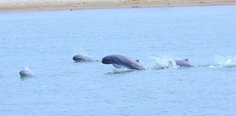 photo_2024-06-21_20-32-43