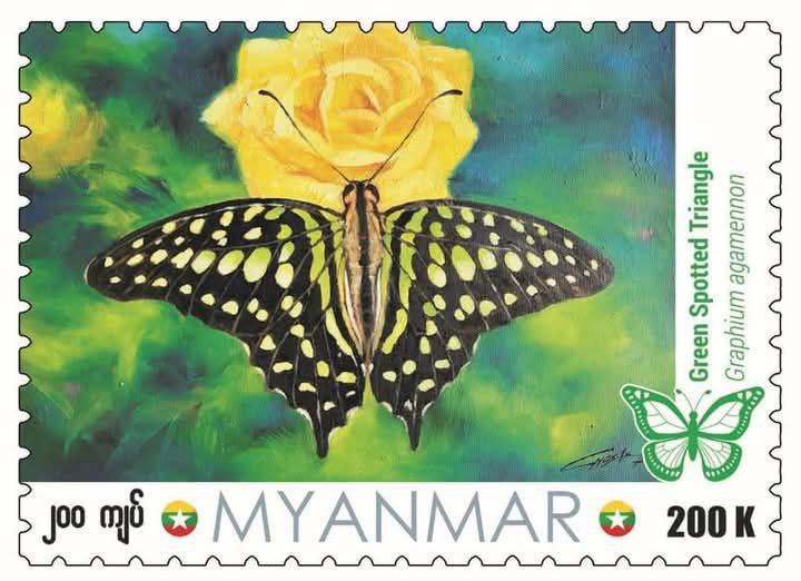 photo_2025-01-28_14-54-34