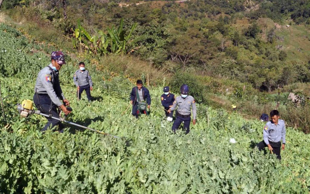 photo_2025-02-27_17-11-19