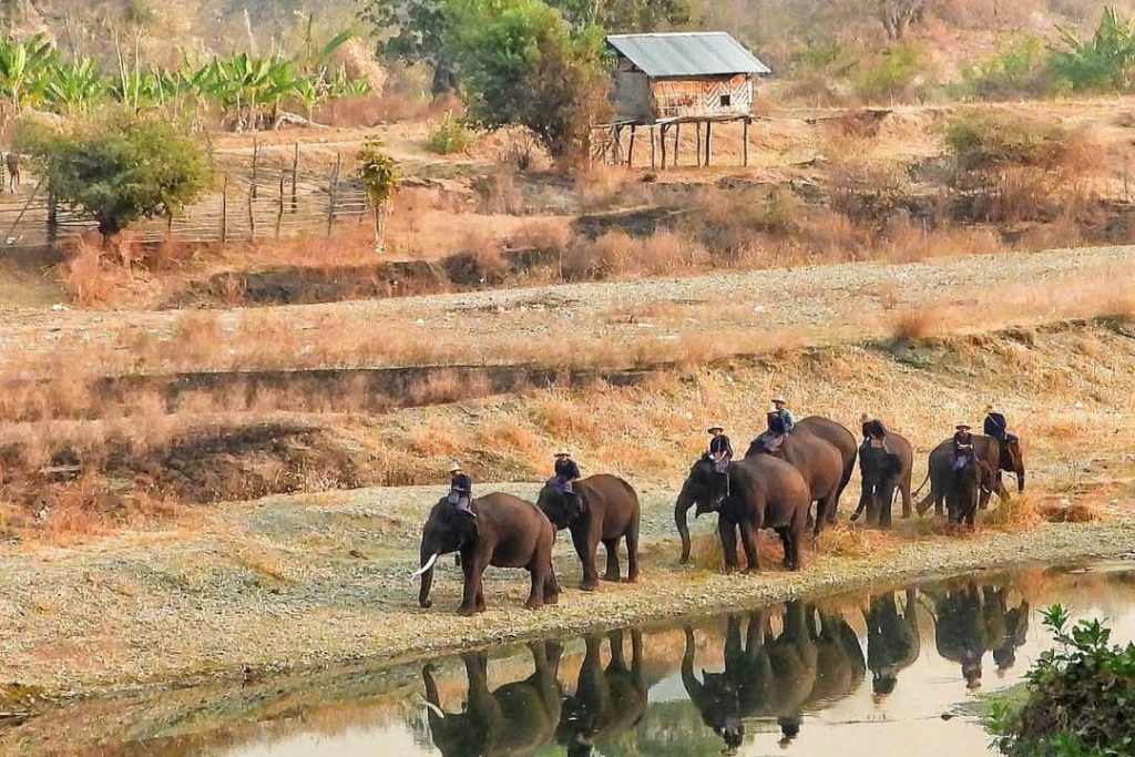 photo_2025-03-12_15-23-24