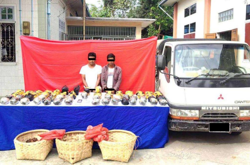 photo_2025-04-24_17-28-55