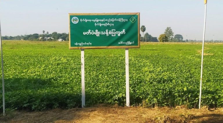 photo_2025-06-04_11-15-03-1024x563