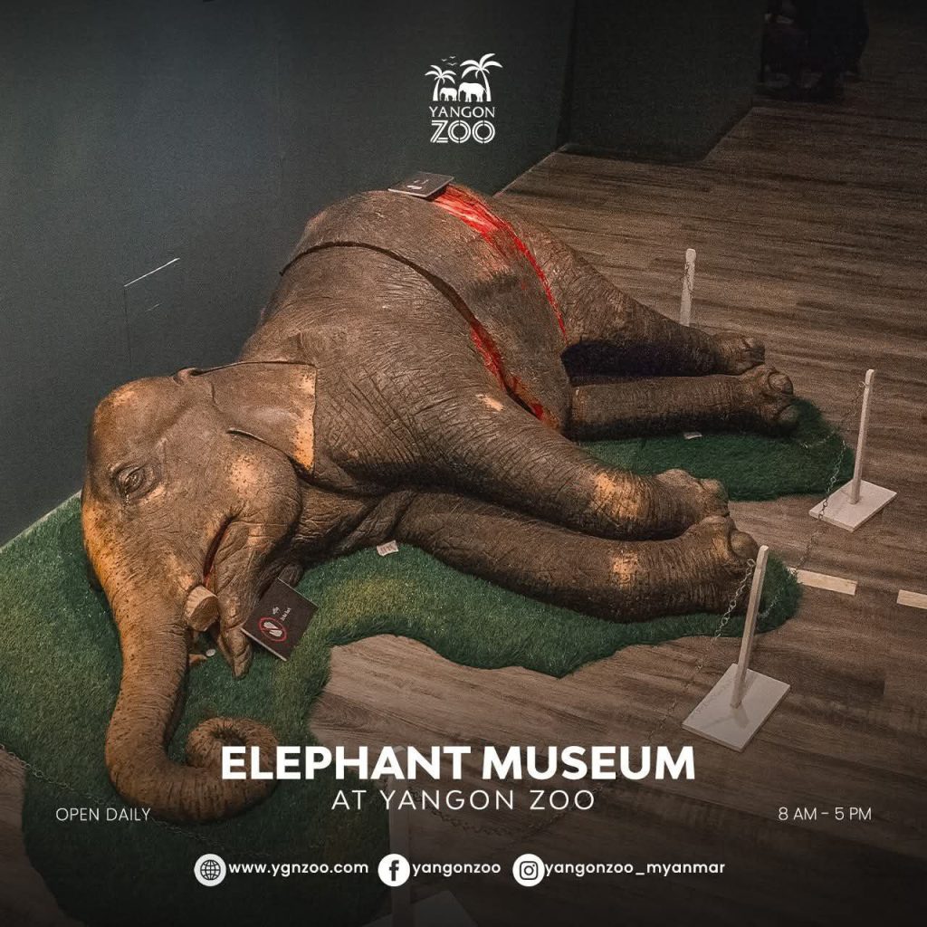 photo_2025-08-25_17-53-17