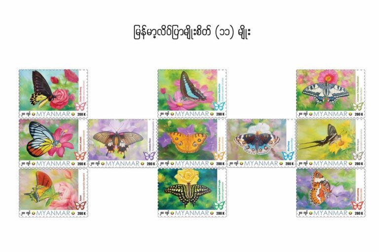 photo_2025-09-18_17-12-15