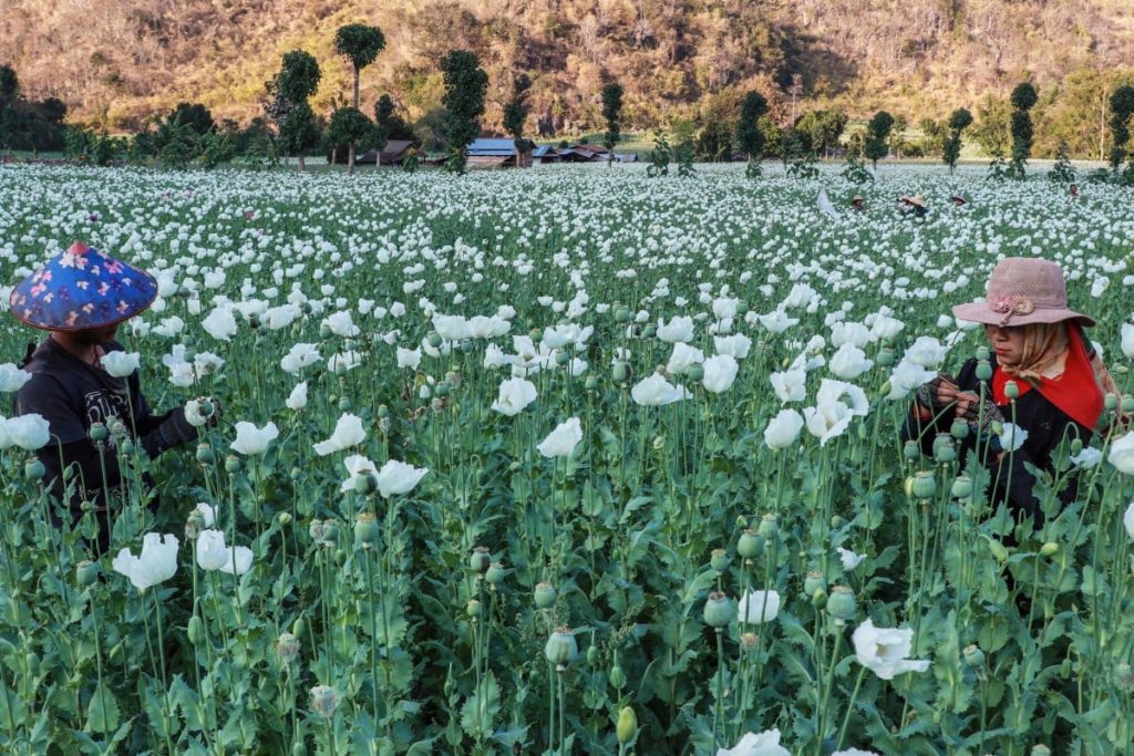 photo_2025-12-03_14-21-58