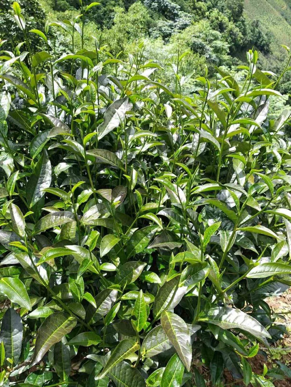 photo_2025-12-27_10-17-01