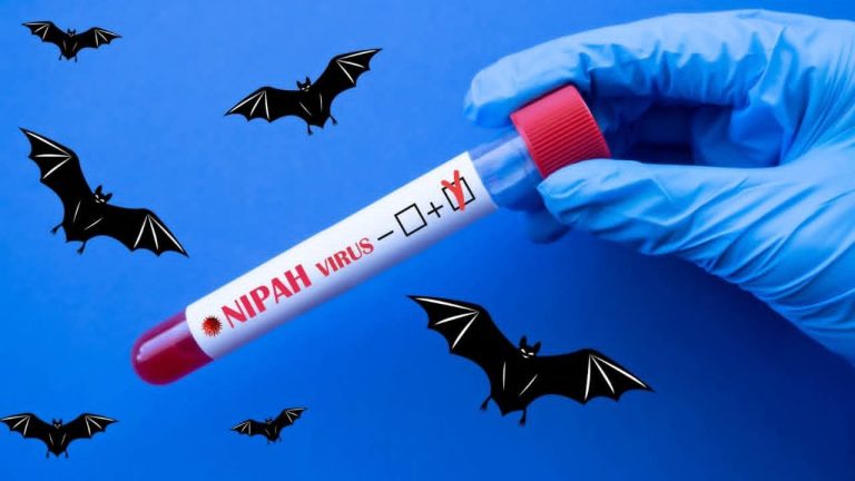 photo_2026-01-27_14-45-54