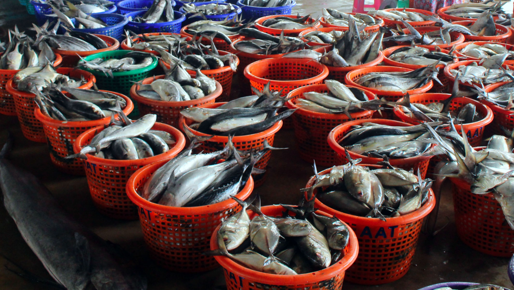 image-209-1024x577 (1)