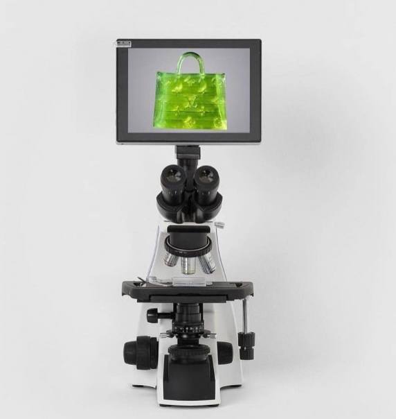 This image has an empty alt attribute; its file name is photo_2023-06-30_10-24-55-2.jpg