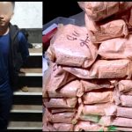 356193635_142593008858182_9168261107557064103_n