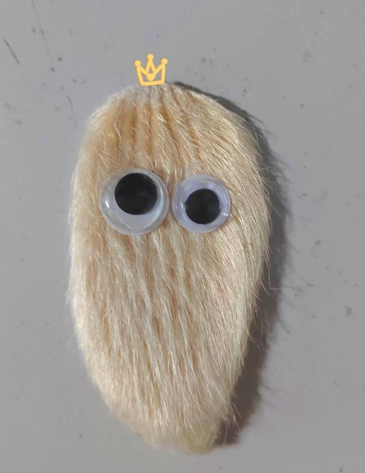 363779926_246462341672624_984218621353750444_n