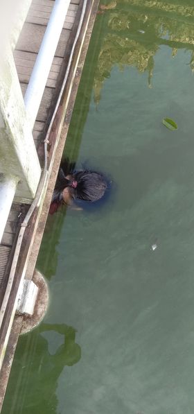 photo_2023-07-20_14-28-10