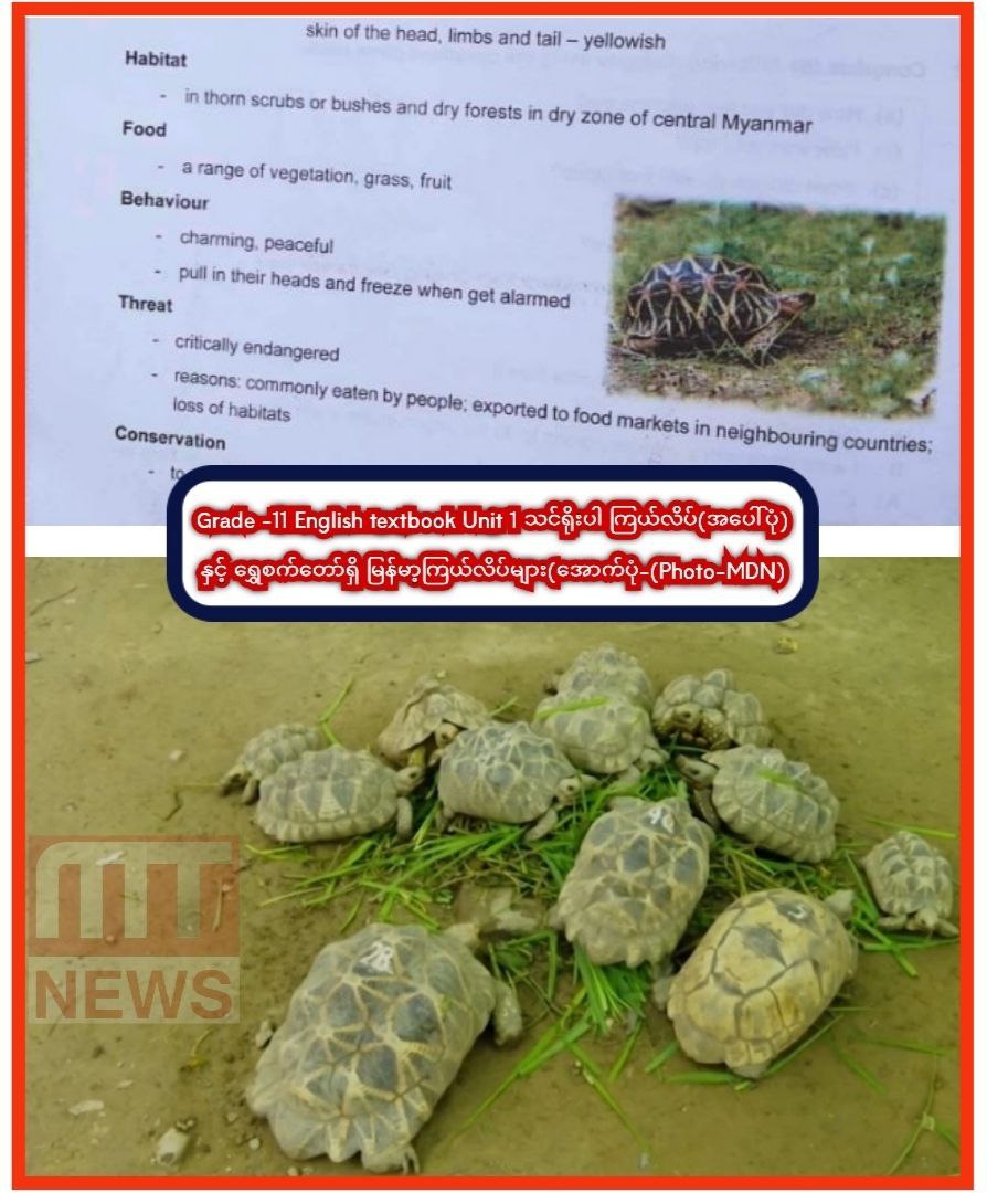 photo_2023-07-31_15-07-11