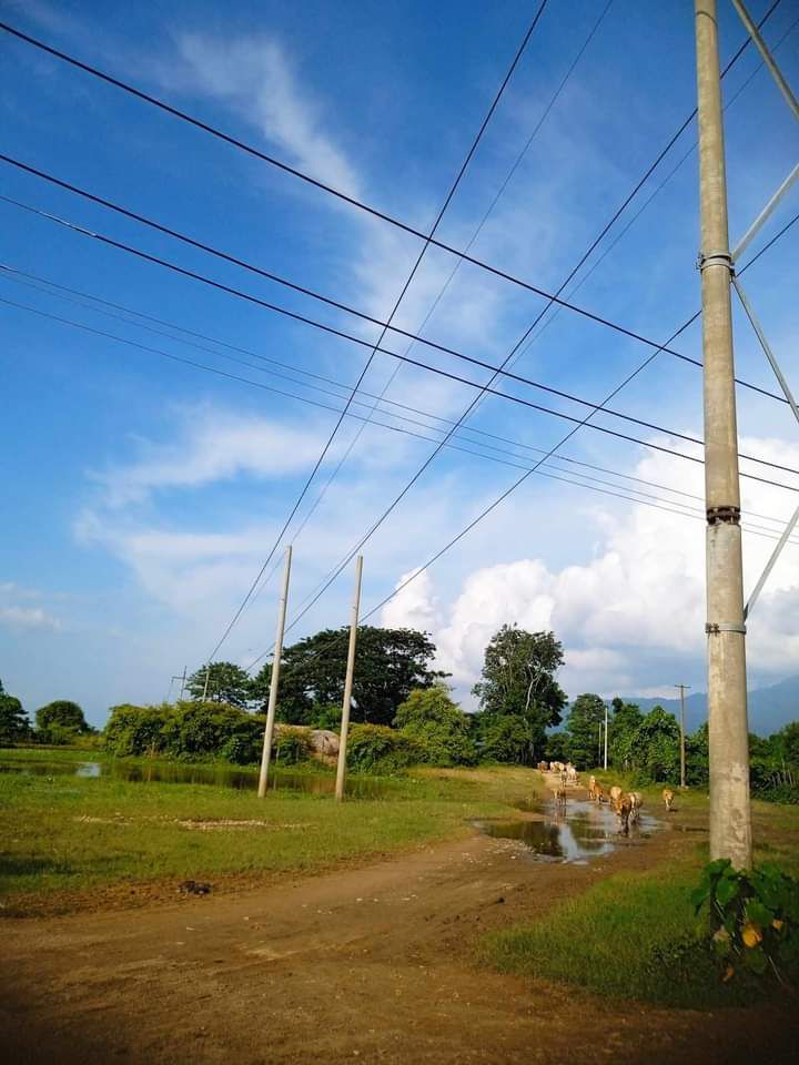 This image has an empty alt attribute; its file name is photo_2023-08-13_22-15-59.jpg