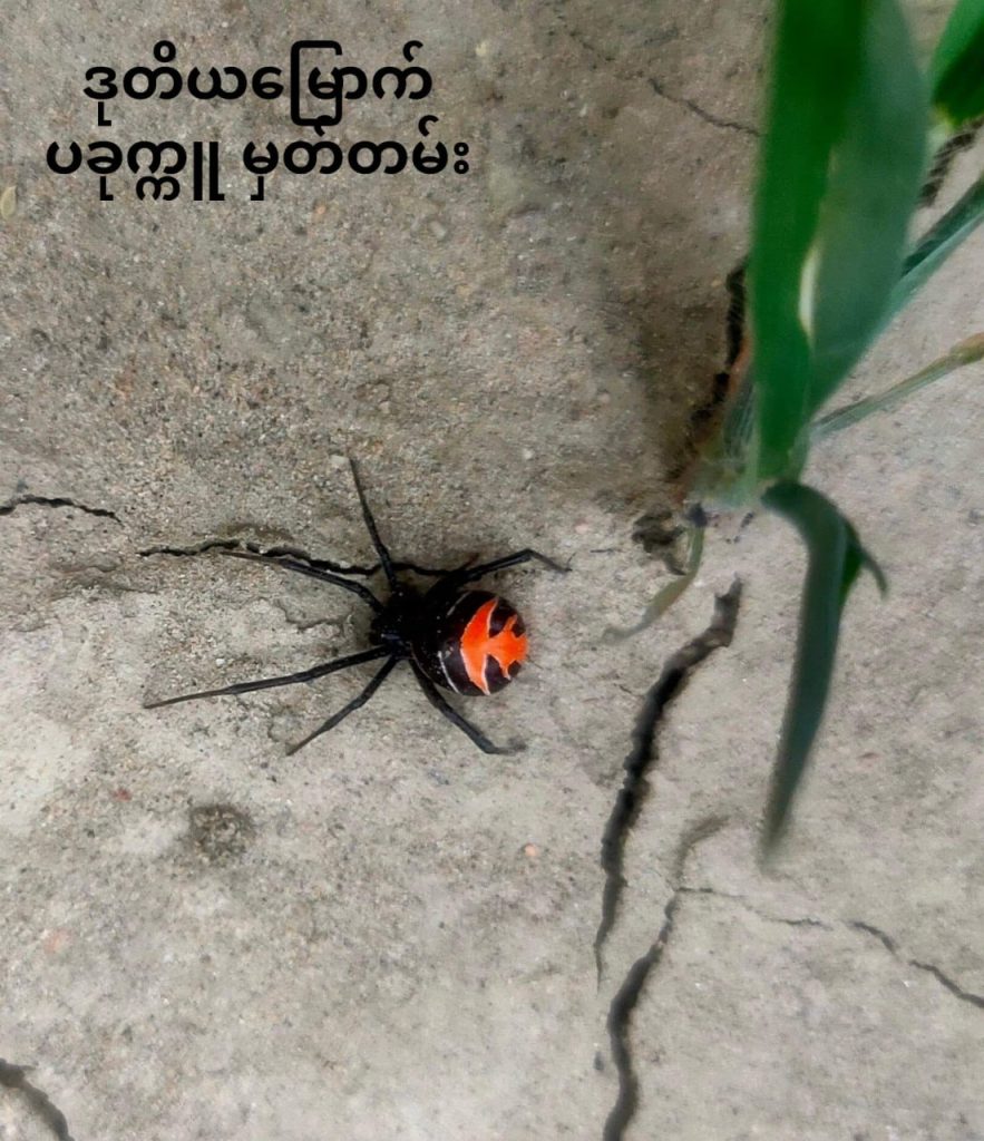 This image has an empty alt attribute; its file name is photo_2023-08-14_12-38-04-883x1024.jpg