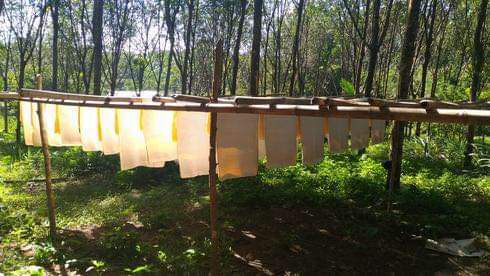 photo_2023-08-17_16-00-15