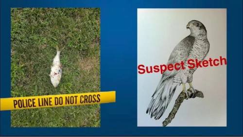 photo_2023-08-17_16-15-09