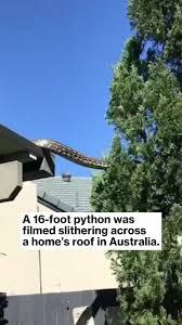 This image has an empty alt attribute; its file name is photo_2023-08-29_14-30-44.jpg