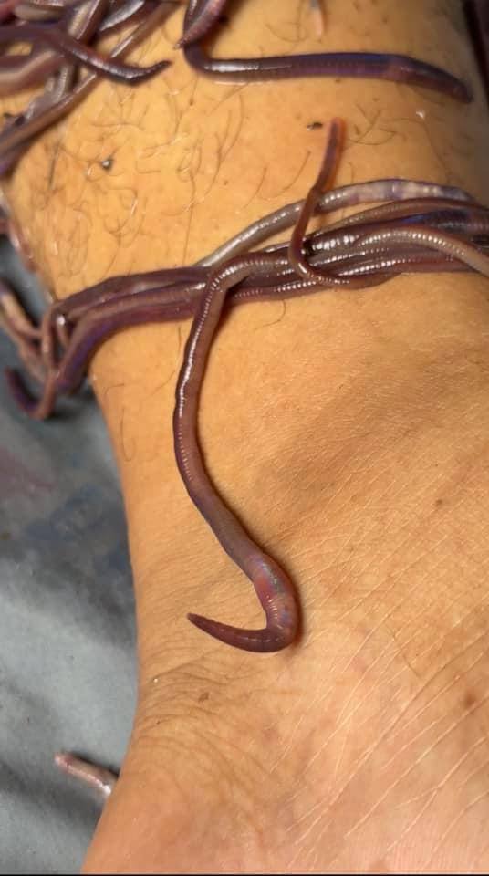 This image has an empty alt attribute; its file name is photo_2023-08-31_16-14-43-2.jpg