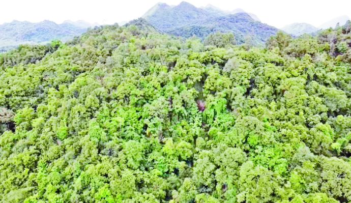 photo_2023-09-04_18-54-29