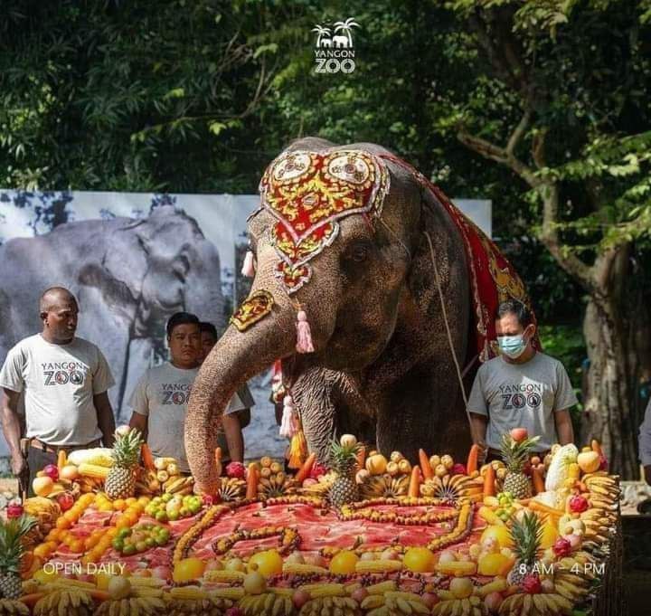 photo_2023-10-26_10-08-10