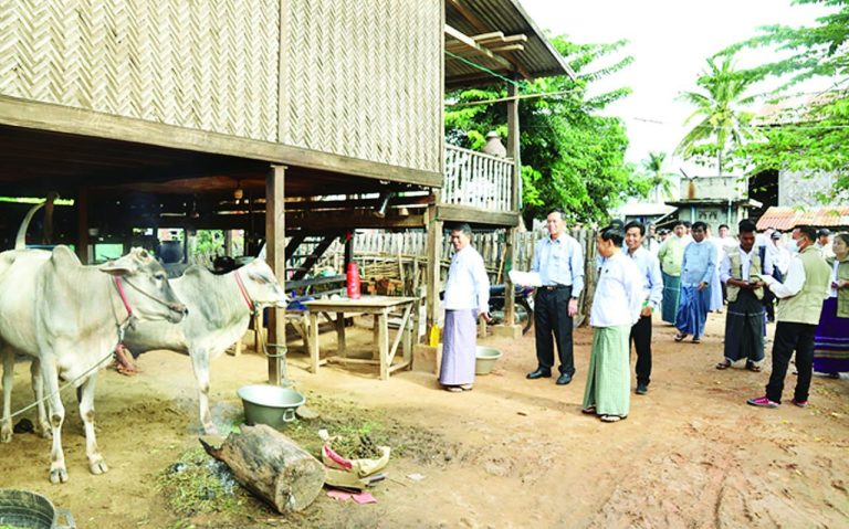 photo_2023-11-02_11-00-09