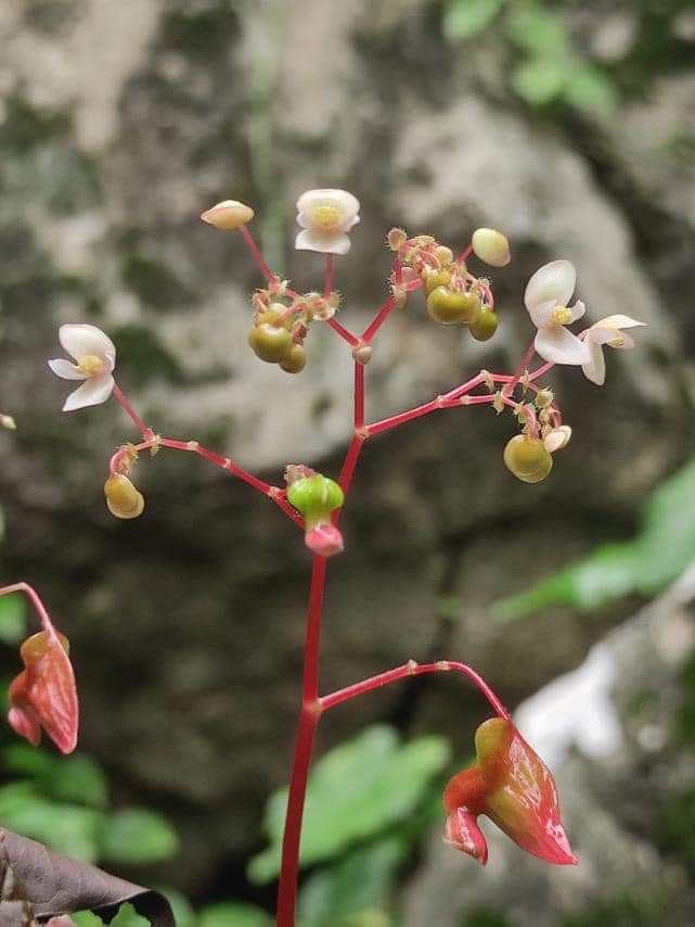 photo_2023-11-03_12-45-09