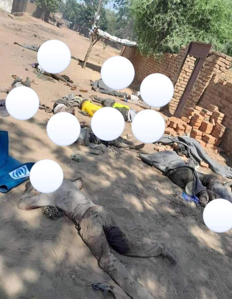 photo_2023-11-08_16-34-35