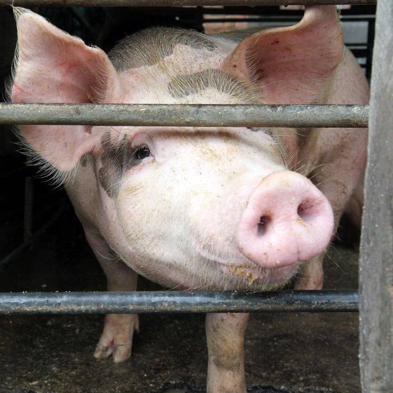 photo_2023-11-10_15-58-58