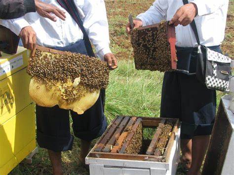 photo_2023-11-20_13-12-33