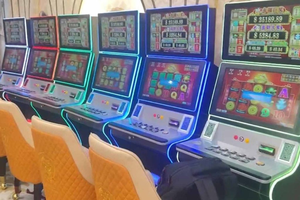 This image has an empty alt attribute; its file name is photo_2023-12-01_14-49-08-1024x682.jpg