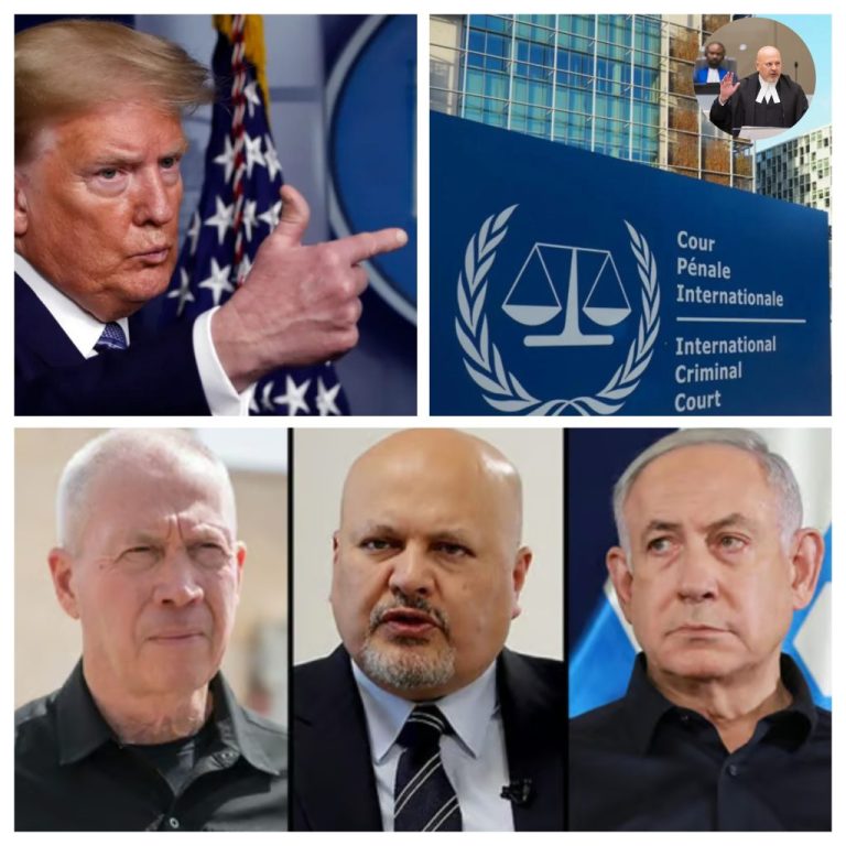 InCollage_20241130_163842633-1024x1024