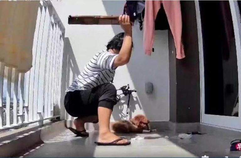 photo_2024-11-29_12-50-46