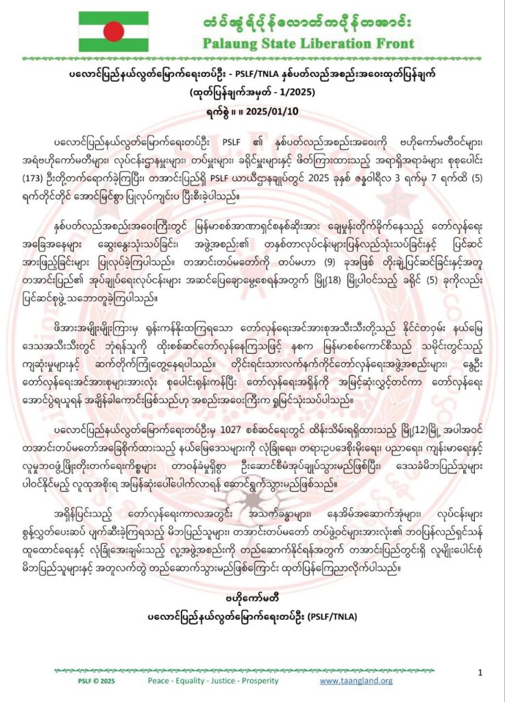 IMG_20250110_171305_472-737x1024