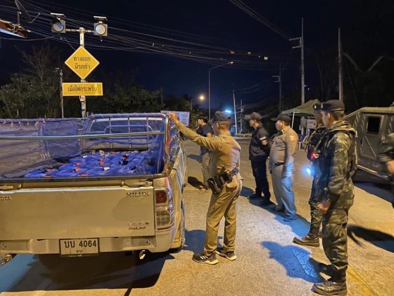 IMG_20250208_152534_599