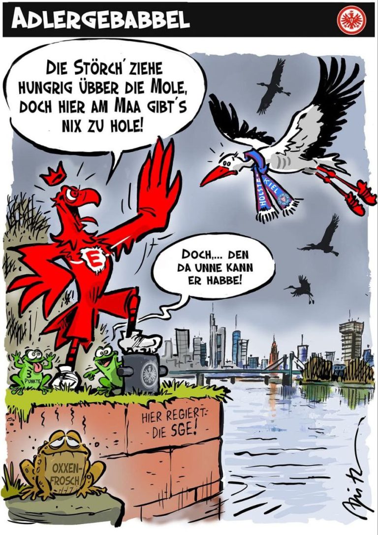 IMG_20250216_191607_259