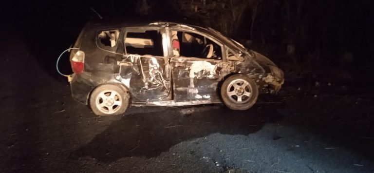 IMG_20250224_051316_749