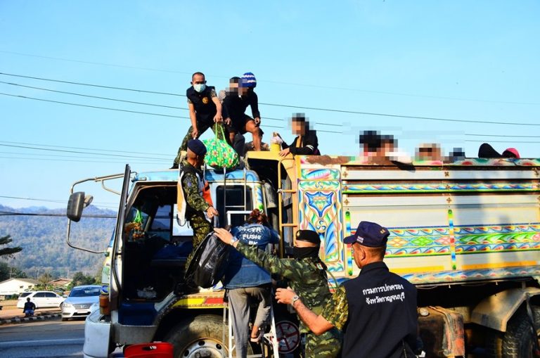 photo_2025-01-31_18-49-50 (2)