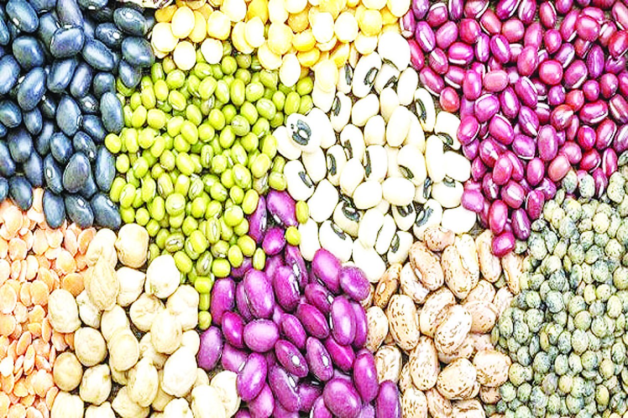 photo_2025-02-19_14-04-27