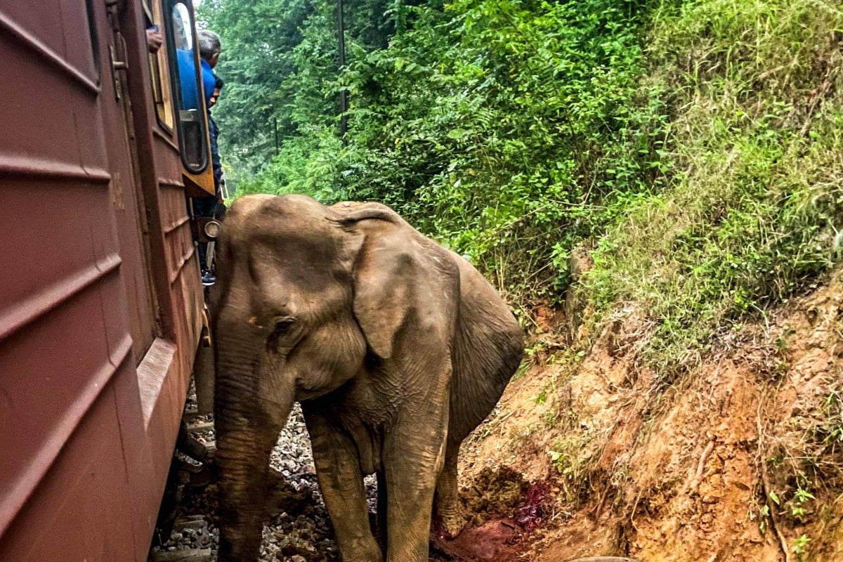 photo_2025-02-20_16-39-40