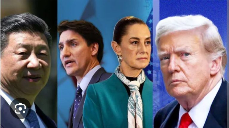 IMG_20250304_191939_629