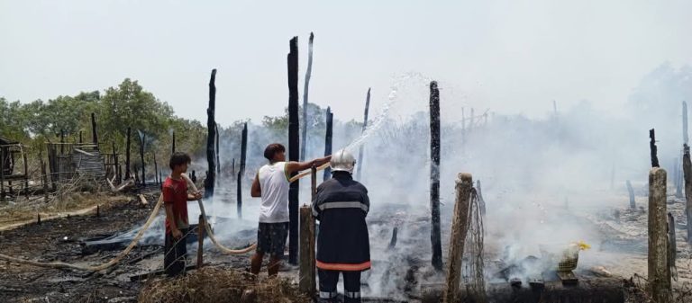 IMG_20250324_170627_282