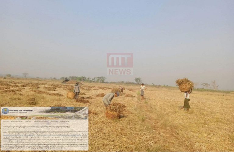 photo_2025-03-20_13-37-35
