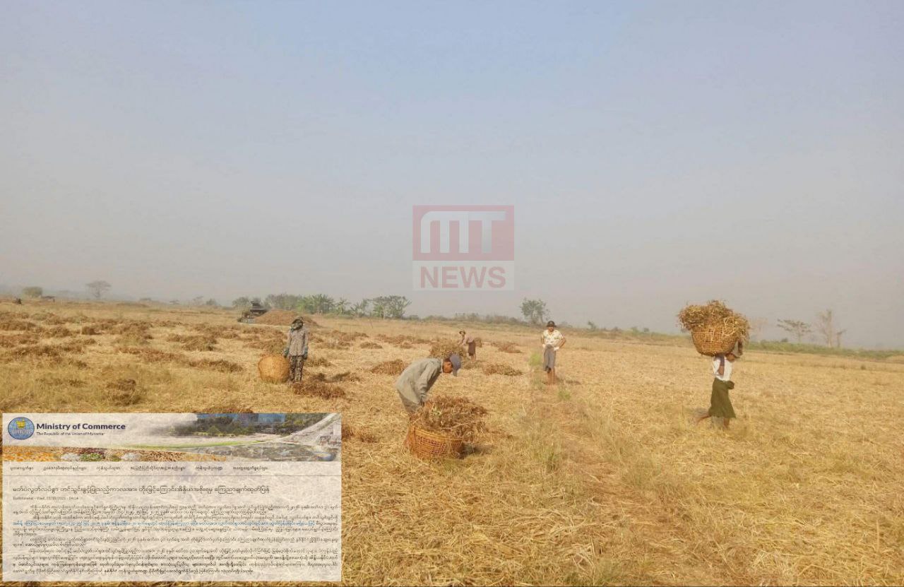 photo_2025-03-20_13-37-35