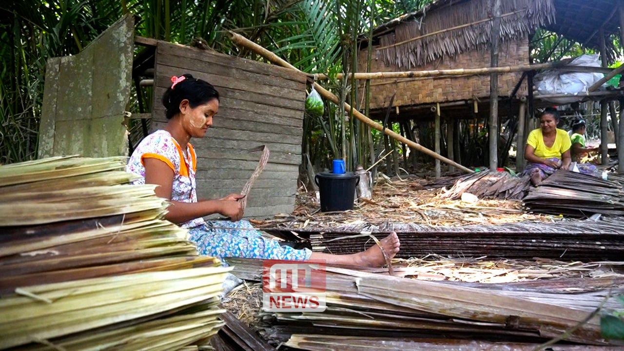 photo_2025-03-24_12-48-34